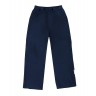 Демисезонные детские брюки NANO, синие.